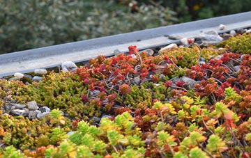 the cost of Thicket Mead green roof installation